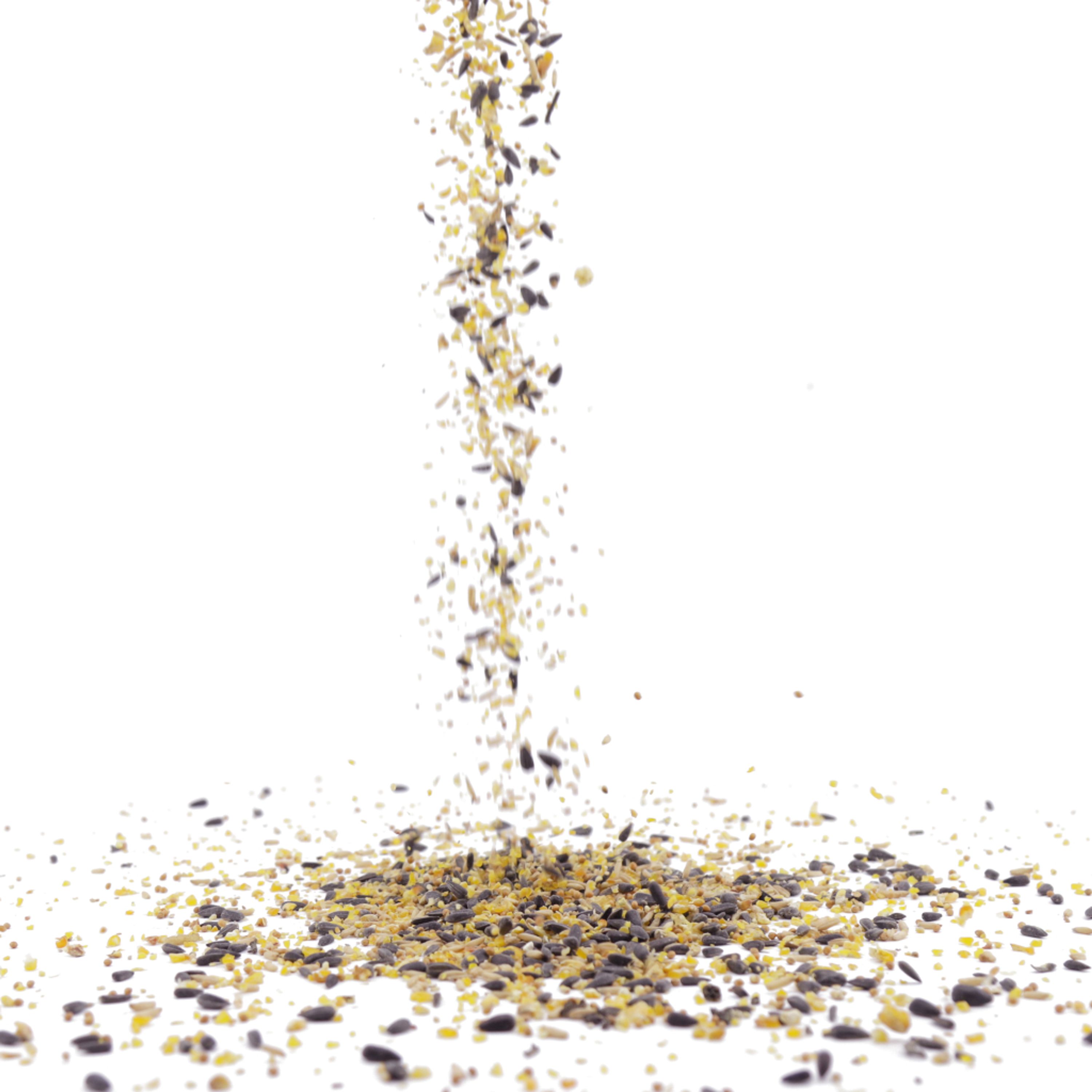 Green+ Premium Streufutter 2,5kg (biologischer Anbau) | Vogelfutter | CJ Wildlife